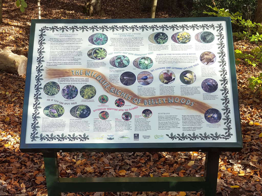 Three part, galvanised, powder coated, public information display, Beeley Woods, production, installation, graphic design, branding, Sheffield