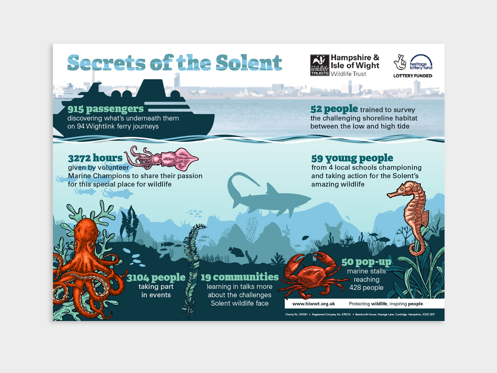 Secrets of the Solent infographic