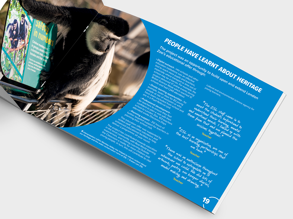 ZSL London Zoo Snowdon Aviary impact report design