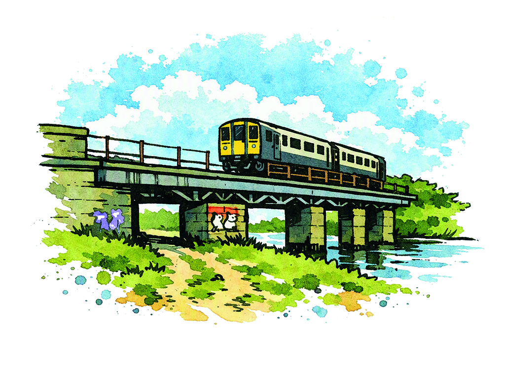 Barnby Dunn Bridge illustration by Genie Creative