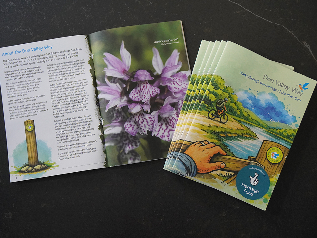DCRT Walks booklet design