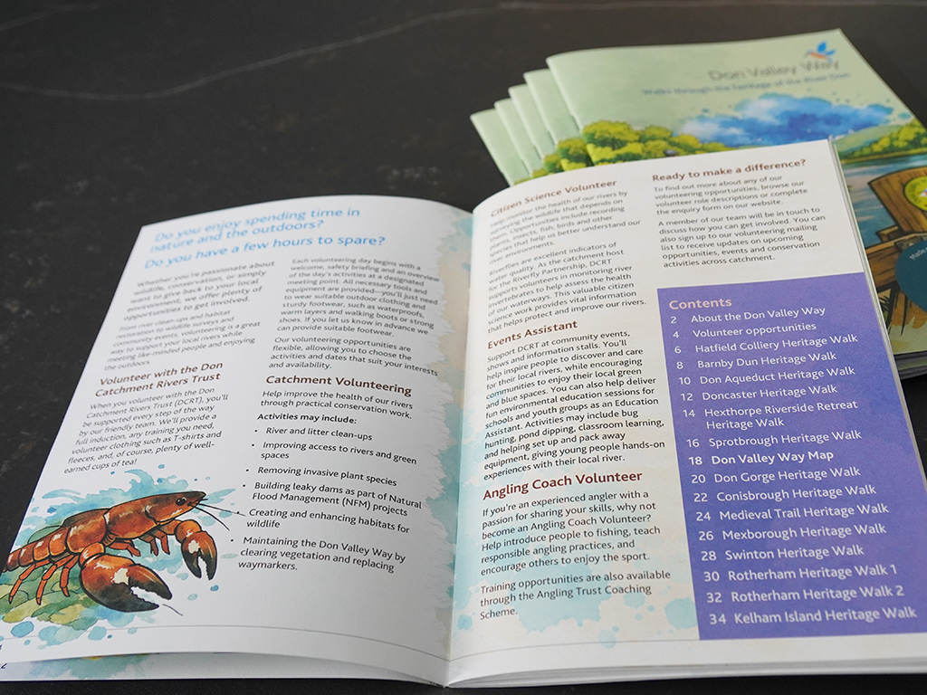 Graphic design for print_Sheffield